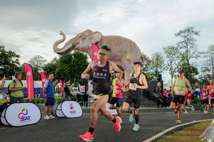 BIB: 
                            <button type="button" onclick="openModal(26528266)" class="btn btn-primary btn-sm float-right btn-popup" data-toggle="modal" data-target=".modal-high-quality">
                        <i class="fas fa-shopping-cart"></i> Add to Cart
                    </button>
                                            <button type="button" onclick="isThisMe(26528266, true)" class="btn btn-success btn-sm float-right btn-popup btn-isme hidden" data-toggle="tooltip" data-placement="bottom" title="นี่คือรูปของคุณใช่ไหม คลิกที่นี่เพื่อเอาเข้าอัลบั้ม">
                        <i class="fas fa-plus"></i> Add to album
                    </button>
                    <button type="button" onclick="isThisMe(26528266, false)" class="btn btn-warning btn-sm float-right btn-popup btn-isnotme hidden">
                        <i class="fas fa-ban"></i> Remove from album
                    </button>